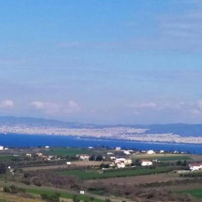 Img Fc8460ebc8e8fc2262464ad789c23eaf V