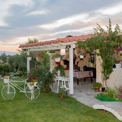 119202797 419967568980777 384956803742458275 N