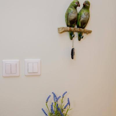 119218642 384151889246925 6075230734823367708 N